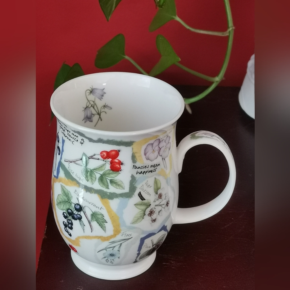 Dunoon Fine Bone China "Nature's Garden" Floral Mug